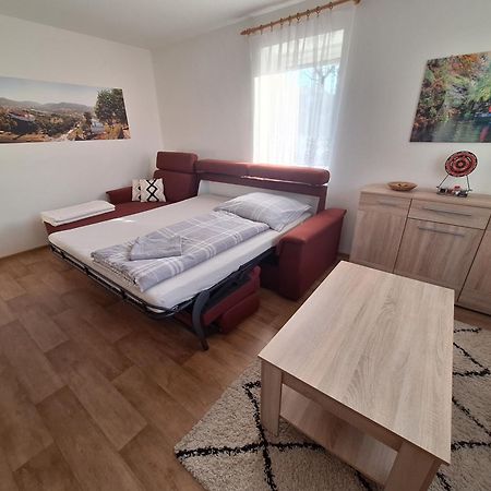 Pod Chlumem - útulný byt v blízkosti centra s terasou a grilem Decin Exteriér fotografie