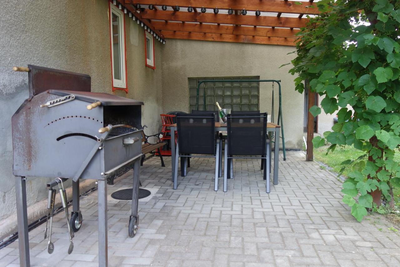 Pod Chlumem - útulný byt v blízkosti centra s terasou a grilem Decin Exteriér fotografie